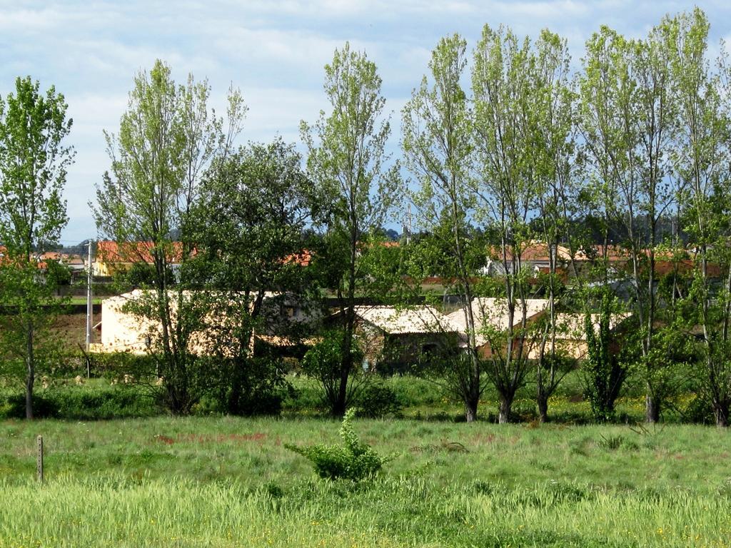 Гостьовий будинок Casa Do Moinho Овар Екстер'єр фото